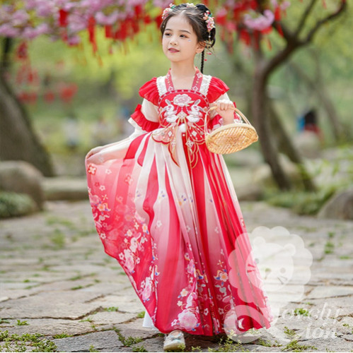 Đầm công chúa màu đỏ thêu hoa cho bé gái(không kèm khăn choàng) Đầm công chúa màu đỏ thêu hoa cho bé gái(không kèm khăn choàng)