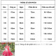 Đầm công chúa màu đỏ thêu hoa cho bé gái(không kèm khăn choàng) Đầm công chúa màu đỏ thêu hoa cho bé gái(không kèm khăn choàng)